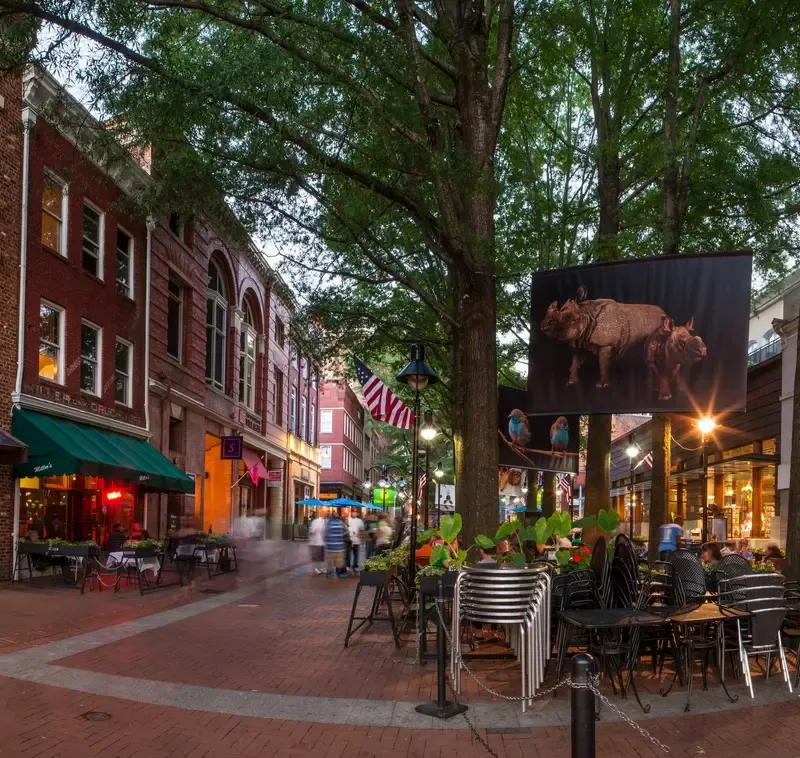 A lively street scene showing people dining at outdoor cafes beneath trees
